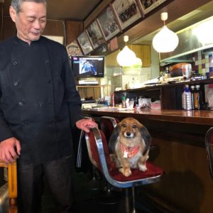 可愛いワンコに会える喫茶店✨