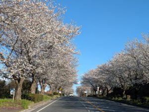 【ワタシの街の起業支援Match】